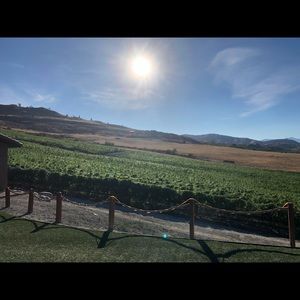 Meet your Posher, Benjamin